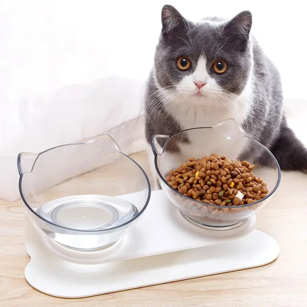 Eleven Elevated Cat Bowls