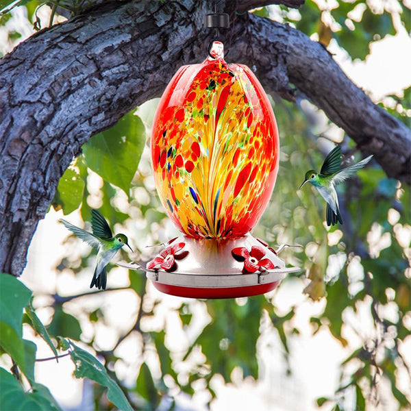 Libiyi Hummingbird Feeder