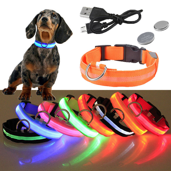 USB Rechargeable Dog LED Glowing Collar